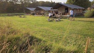 Tentes lodge et tables de pique-nique au parc de vacances Mooirust à Utrecht, Pays-Bas, pelouse verte.