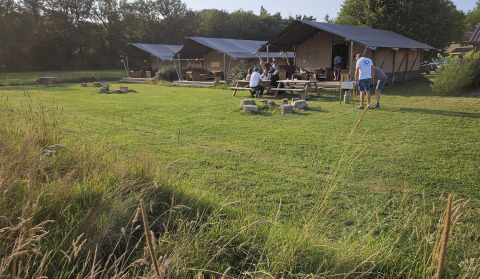 Tentes lodge et tables de pique-nique au parc de vacances Mooirust à Utrecht, Pays-Bas, pelouse verte.