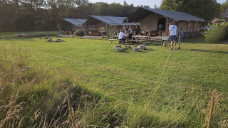 Tiendas glamping y mesas de picnic en Mooirust, parque de vacaciones en Utrecht, Países Bajos, césped verde.