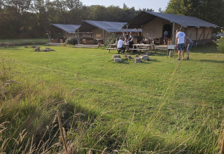 Feriehytter og picnicområde på Mooirust-feriepark i Utrecht, Holland, omgivet af grønne marker.