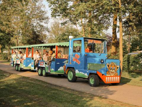 El tren Zoef Express lleva a familias por el parque vacacional De Achterste Hoef rodeado de vegetación.