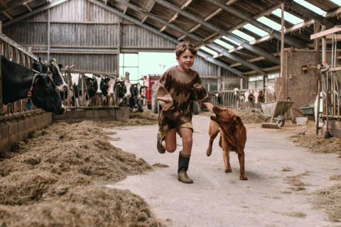 Bambino corre con un cane in una stalla con mucche a Feather Down Botterheerd, Groningen, Paesi Bassi.