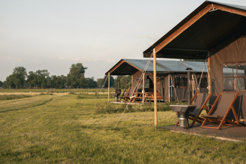 Glamping-Zelte mit Liegestühlen im Feather Down Botterheerd Ferienpark auf einer Wiese in Groningen, Niederlande.