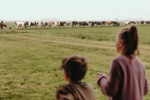 Twee kinderen kijken naar een groep koeien op een wei bij Feather Down Botterheerd in Groningen, Nederland.