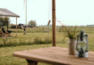 Vista di un parco vacanze rurale a Groningen con mucche, un bambino, una tenda e un tavolo in primo piano.