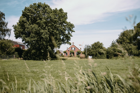 Una casa rural rodeada de campos y árboles en Feather Down Botterheerd, Groningen, Países Bajos.
