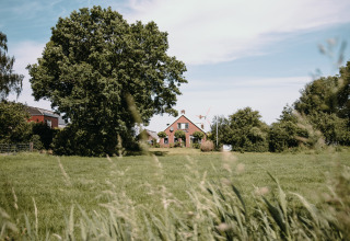Et landligt hus omgivet af grønne marker og træer ved Feather Down Botterheerd i Groningen, Holland.