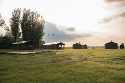 Cabañas y campos verdes en Feather Down Botterheerd parque vacacional en Groningen, Países Bajos, al atardecer.