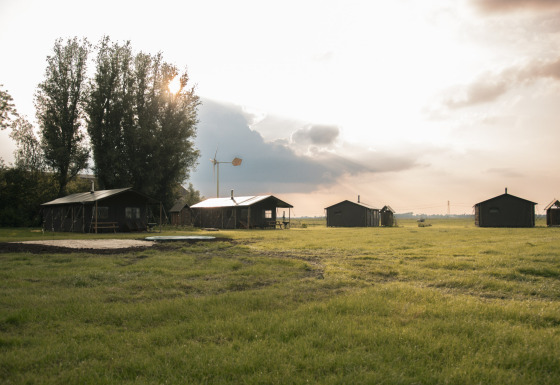 Case vacanza e prati verdi al Feather Down Botterheerd, parco vacanze a Groningen, Paesi Bassi, al tramonto.