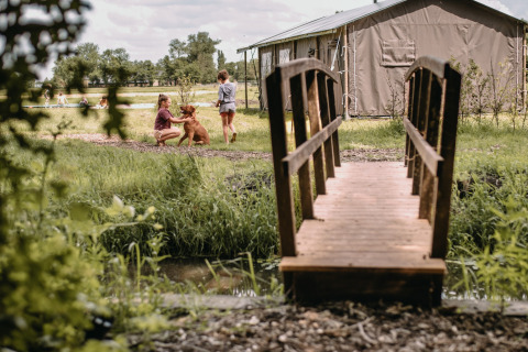 Des enfants jouent avec un chien près d’un pont en bois à Feather Down Botterheerd, parc de vacances à Groningue.