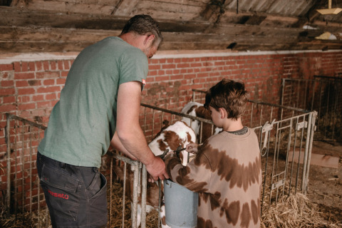 A man and boy feed a calf in a barn at Feather Down Botterheerd, a holiday park in Groningen, Netherlands.