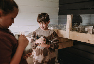 Two children enjoy cuddling guinea pigs in a cozy barn at Feather Down Botterheerd holiday park in Groningen.