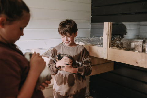 Two children enjoy cuddling guinea pigs in a cozy barn at Feather Down Botterheerd holiday park in Groningen.