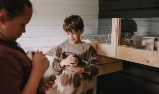 To børn leger med marsvin i et hyggeligt staldrum på Feather Down Botterheerd feriepark i Groningen.
