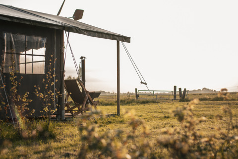 Escena campestre en Feather Down Botterheerd, un parque vacacional en Groningen, Países Bajos, con cabina y campo.