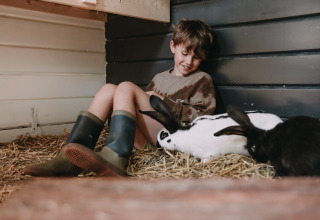 Niño con botas de goma sentado en paja junto a conejos en Feather Down Botterheerd, Groningen, Países Bajos.