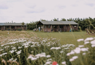 Safari-telt med privat bruser ved Feather Down Boerderij Ameland, omgivet af blomster og natur.