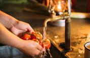 Mani lavano pomodori freschi sotto un rubinetto in una cucina da tenda safari con luce calda e accogliente.