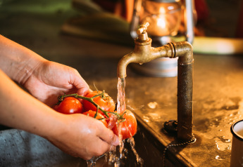 Hænder vasker friske tomater under vandhane i et telt med stemningsfuld belysning og safari-stemning.