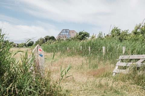 Alojamiento glamping rodeado de naturaleza, hierba alta y una casa moderna al fondo de la imagen.