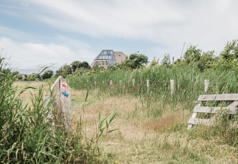 Alojamiento glamping rodeado de naturaleza, hierba alta y una casa moderna al fondo de la imagen.