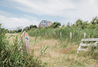 Glamper-overnatning omgivet af natur, højt græs, og et moderne hus med store vinduer i baggrunden.