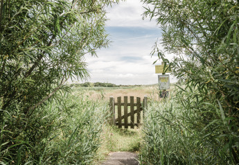Portail en bois et sentier encadrés de buissons verts, menant à une prairie ensoleillée sur un site de glamping.