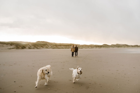 Twee honden spelen op het strand bij een glampingverblijf, terwijl twee mensen op de achtergrond wandelen.