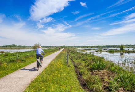 Ciclista en un camino rural cerca del agua y campos en Oostwold, Groningen, Países Bajos, bajo cielo azul.
