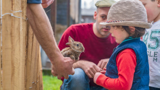 Un niño se encuentra con un conejo en Feather Down L'Étable des Mauges en Anjou en Pays de la Loire, Francia.