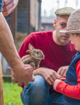 Un niño se encuentra con un conejo en Feather Down L'Étable des Mauges en Anjou en Pays de la Loire, Francia.