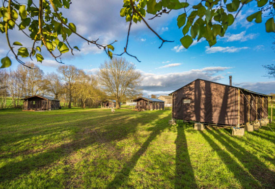 Sonnige Ferienpark-Szene bei Feather Down L'Étable des Mauges en Anjou mit Zelthütten und grüner Wiese.