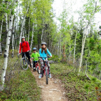 Familia montando en bicicleta por un sendero forestal cerca de Beaupréau-en-Mauges, Pays de la Loire, Francia.