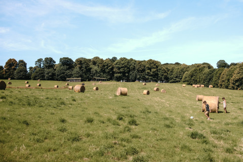 Niños juegan entre pacas de heno en un campo verde en Feather Down Ô manoir de Glams, Normandía, Francia.