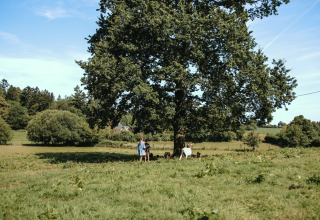 Familie mit Ziegen unter großem Baum im Feather Down Ô manoir de Glams Ferienpark, Normandie, Frankreich.
