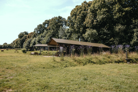 Feather Down Ô manoir de Glams: safari tents on a grassy field by trees in Normandy, France holiday park.