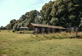 Feather Down Ô manoir de Glams: safari tents on a grassy field by trees in Normandy, France holiday park.