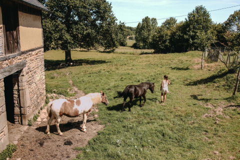 A woman walks with two horses on a grassy field next to a stone building at a holiday park in Normandy, France.
