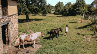 Una mujer camina con dos caballos por un campo de hierba junto a un edificio de piedra en Normandía, Francia.