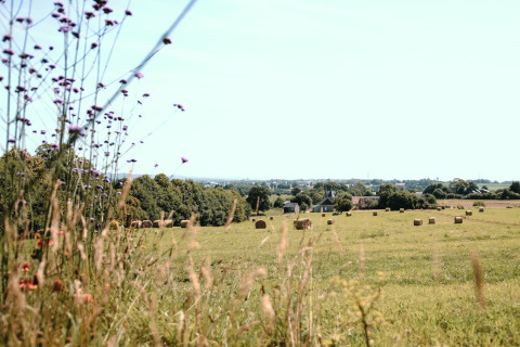 Zonnig plattelandsbeeld bij Feather Down Ô manoir de Glams in Normandië met hooirollen en wilde bloemen.