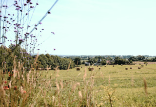 Scène rurale ensoleillée au Feather Down Ô manoir de Glams en Normandie avec des bottes de foin et fleurs sauvages.