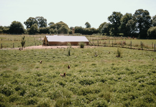 Grønt frilandsområde med høns og et hønsehus på Feather Down Ô manoir de Glams, Normandiet, Frankrig.
