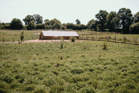 Free-range chickens and coop on lush pasture at Feather Down Ô manoir de Glams, Normandy, France.