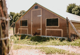 Et billede af et hønsehus på Feather Down Ô manoir de Glams feriepark i Normandiet, Frankrig.