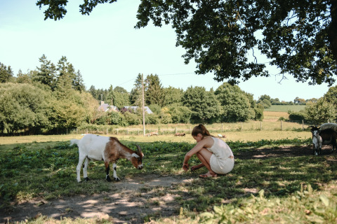 Girl in a white dress crouching on grass next to a goat at Feather Down Ô manoir de Glams, Normandy, France.