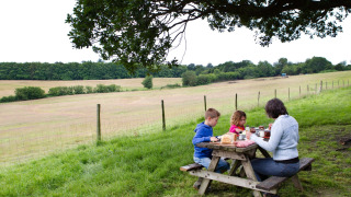 Familie nyder picnic ved træbord med udsigt over marker på BoerenBed Sunninglye Farm i Østengland.