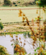 Vista de Feather Down Lunsford Farm en el sureste de Inglaterra con lago, vegetación y personas paseando.