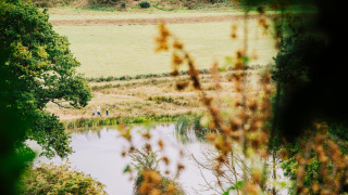 Vista de Feather Down Lunsford Farm en el sureste de Inglaterra con lago, vegetación y personas paseando.