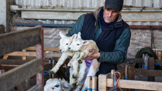 Granjero sostiene dos corderos en Feather Down Lunsford Farm, un parque vacacional en el sureste de Inglaterra.