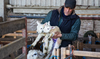 Granjero sostiene dos corderos en Feather Down Lunsford Farm, un parque vacacional en el sureste de Inglaterra.